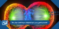 الانقسام الخلوي يسبب نمو المخلوقات عديدة الخلايا. صواب خطأ 2025 2 الانقسام الخلوي يسبب نمو المخلوقات عديدة الخلايا. صواب خطأ