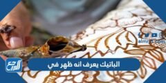 الباتيك يعرف انه ظهر في 2025 3 الباتيك يعرف انه ظهر في