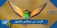 البحث عن خصائص الطيور - 2025 2 البحث عن خصائص الطيور - موقع المرجع