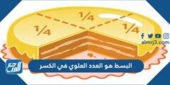 البسط هو العدد العلوي في الكسر 2025 2 البسط هو العدد العلوي في الكسر