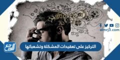 التركيز على تعقيدات المشكلة وتشعباتها 2025 2 التركيز على تعقيدات المشكلة وتشعباتها