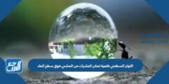 التوتر السطحي خاصية تمكن الحشرات من المشي فوق سطح الماء 2025 1 التوتر السطحي خاصية تمكن الحشرات من المشي فوق سطح الماء
