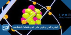 الجزئ الذي يحتوي على قوى تشتت فقط 2025 3 الجزئ الذي يحتوي على قوى تشتت فقط