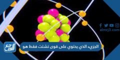 الجزئ الذي يحتوي على قوى تشتت فقط هو.. 2025 2 الجزئ الذي يحتوي على قوى تشتت فقط هو..