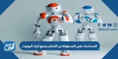 الحساسات هي المسؤولة عن التحكم بجميع أجزاء الروبوت 2025 2 الحساسات هي المسؤولة عن التحكم بجميع أجزاء الروبوت