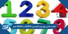 العدد الذي يقع بين العددين ٥٦٨٧٨ و٥٨٠٤٣ هو 2025 3 العدد الذي يقع بين العددين ٥٦٨٧٨ و٥٨٠٤٣ هو