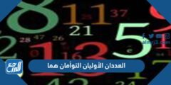 العددان الأوليان التوأمان هما - 2025 3 العددان الأوليان التوأمان هما - موقع المرجع