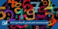 القاسم المشترك الاكبر للعددين ٢٠ و ٥٠ هو ٢ ٥ ١٠ 2025 2 القاسم المشترك الاكبر للعددين ٢٠ و ٥٠ هو ٢ ٥ ١٠