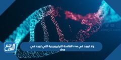 القاعدة النيتروجينية التي توجد في rna ولا توجد في dna 2025 1 القاعدة النيتروجينية التي توجد في rna ولا توجد في dna