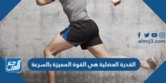 القدرة العضلية هي القوة المميزة بالسرعة 2025 2 القدرة العضلية هي القوة المميزة بالسرعة