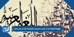 الهوية العربية/ ليست شيء محسوس نضع أيدينا عليه بل هى معنى 2025 2 الهوية العربية/ ليست شيء محسوس نضع أيدينا عليه بل هى معنى
