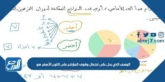 الوصف الذي يدل على احتمال وقوف المؤشر على اللون الأصفر هو 2025 3 الوصف الذي يدل على احتمال وقوف المؤشر على اللون الأصفر هو