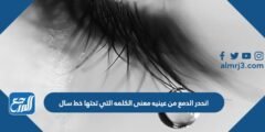 انحدر الدمع من عينيه معنى الكلمه التي تحتها خط سال 2025 2 انحدر الدمع من عينيه معنى الكلمه التي تحتها خط سال
