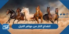 انقداح النار من حوافر الخيل