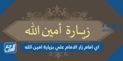 اي امام زار الامام علي بزيارة امين الله 2025 3 اي امام زار الامام علي بزيارة امين الله
