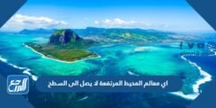 اي معالم المحيط المرتفعة لا يصل الى السطح 2025 1 اي معالم المحيط المرتفعة لا يصل الى السطح