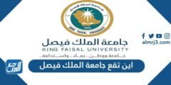 اين تقع جامعة الملك فيصل 2025 3 اين تقع جامعة الملك فيصل