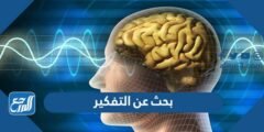 بحث عن التفكير وأنواعه ومستوياته ومهاراته 2025 1 بحث عن التفكير وأنواعه ومستوياته ومهاراته