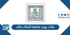 رابط بلاك بورد جامعة الملك خالد mysso.kku.edu.sa 2025 1 رابط بلاك بورد جامعة الملك خالد mysso.kku.edu.sa