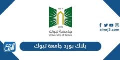 رابط بلاك بورد جامعة تبوك نظام التعليم الالكتروني blackboard tabuk 2025 1 رابط بلاك بورد جامعة تبوك نظام التعليم الالكتروني blackboard tabuk