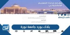 رابط بلاك بورد جامعة الاميرة نورة تسجيل الدخول blackboard pnu 2025 1 رابط بلاك بورد جامعة الاميرة نورة تسجيل الدخول blackboard pnu
