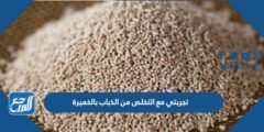 تجربتي مع التخلص من الذباب بالخميرة  2025 3 تجربتي مع التخلص من الذباب بالخميرة