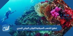 تحقق الشعب المرجانية التوازن البيئي البحري 2025 1 تحقق الشعب المرجانية التوازن البيئي البحري