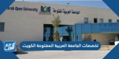 تخصصات الجامعة العربية المفتوحة الكويت 2025 1 تخصصات الجامعة العربية المفتوحة الكويت 2024