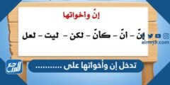 تدخل إن وأخواتها على ........... 2025 2 تدخل إن وأخواتها على ...........