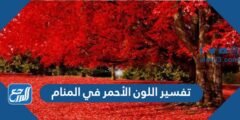 تفسير اللون الأحمر في المنام للعزباء والمتزوجة والحامل 2025 2 تفسير اللون الأحمر في المنام للعزباء والمتزوجة والحامل