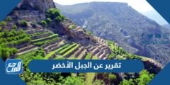 تقرير عن الجبل الأخضر pdf جاهز للطباعة 2025 3 تقرير عن الجبل الأخضر pdf جاهز للطباعة
