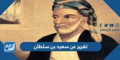 تقرير عن سعيد بن سلطان pdf 2025 2 تقرير عن سعيد بن سلطان pdf