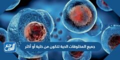 جميع المخلوقات الحية تتكون من خلية أو أكثر