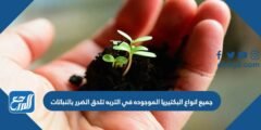 جميع انواع البكتيريا الموجوده في التربه تلحق الضرر بالنباتات 2025 1 جميع انواع البكتيريا الموجوده في التربه تلحق الضرر بالنباتات