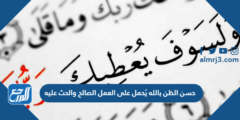 حسن الظن بالله يُحمل على العمل الصالح والحث عليه، وإن حُمل على البطالة والانهماك في المعاصي فهو غرور 2025 1 حسن الظن بالله يُحمل على العمل الصالح والحث عليه، وإن حُمل على البطالة والانهماك في المعاصي فهو غرور
