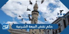 حكم نقض البيعة الشرعية في المذاهب الاربعه 2025 1 حكم نقض البيعة الشرعية في المذاهب الاربعه