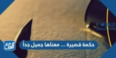 حكمة قصيرة ... معناها جميل جداً 2025 2 حكمة قصيرة ... معناها جميل جداً