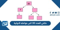 حللي العدد ٣٠ إلى عوامله الأولية 2025
