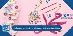حياة الرسول صلى الله عليه وسلم من ولادته حتى وفاته pdf 2025 2 حياة الرسول صلى الله عليه وسلم من ولادته حتى وفاته pdf
