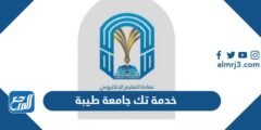 خدمة تك جامعة طيبة eservicesportal.taibahu.edu.sa 2025 3 خدمة تك جامعة طيبة eservicesportal.taibahu.edu.sa