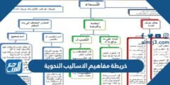 خريطة مفاهيم الاساليب النحوية - 2025 2 خريطة مفاهيم الاساليب النحوية - موقع المرجع