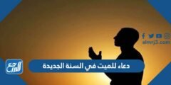 دعاء للميت في السنة الجديدة 2025 دعاء السنة الجديدة للميت مكتوب 2025 2 دعاء للميت في السنة الجديدة 2025 دعاء السنة الجديدة للميت مكتوب