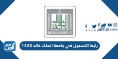 رابط التسجيل في جامعة الملك خالد 1446 2025 1 رابط التسجيل في جامعة الملك خالد 1446