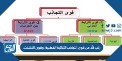 رتب كلًا من قوى التجاذب الثنائية القطبية، وقوى التشتت، والروابط الهيدروجينية