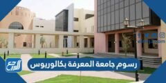 كم رسوم جامعة المعرفة بكالوريوس 2025 / 2025 3 كم رسوم جامعة المعرفة بكالوريوس 2024 / 2025