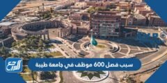 سبب فصل 600 موظف في جامعة طيبة 2025 2 سبب فصل 600 موظف في جامعة طيبة