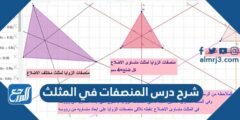 شرح درس المنصفات في المثلث 2025 2 شرح درس المنصفات في المثلث