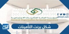 شكل برنت التأمينات الاجتماعية بالعربي والانجليزي 2025 2 شكل برنت التأمينات الاجتماعية بالعربي والانجليزي
