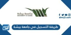 طريقة التسجيل والتقديم في جامعة بيشة 1446 2025 2 طريقة التسجيل والتقديم في جامعة بيشة 1446