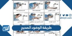 طريقة الوضوء الصحيح للنساء الرجال 2025 1 طريقة الوضوء الصحيح للنساء الرجال